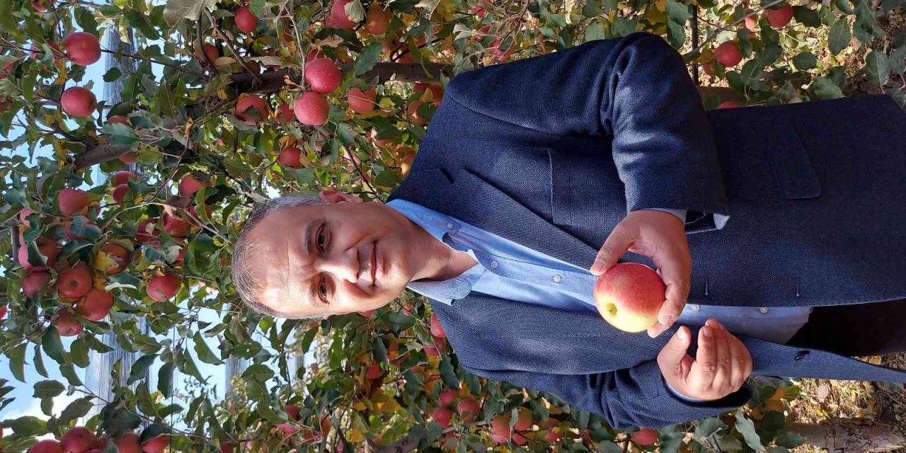 Elma üretimi yatırımlarla artırılacak