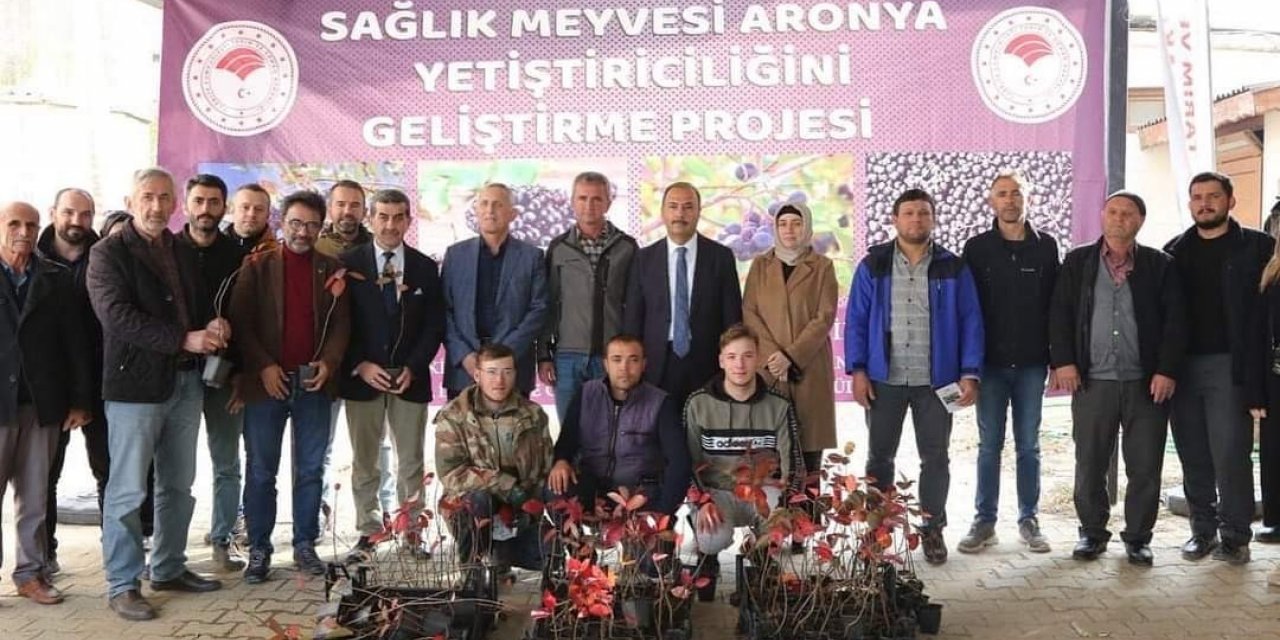 İznik’in bereketi, sağlık meyvesi aronya ile buluşuyor