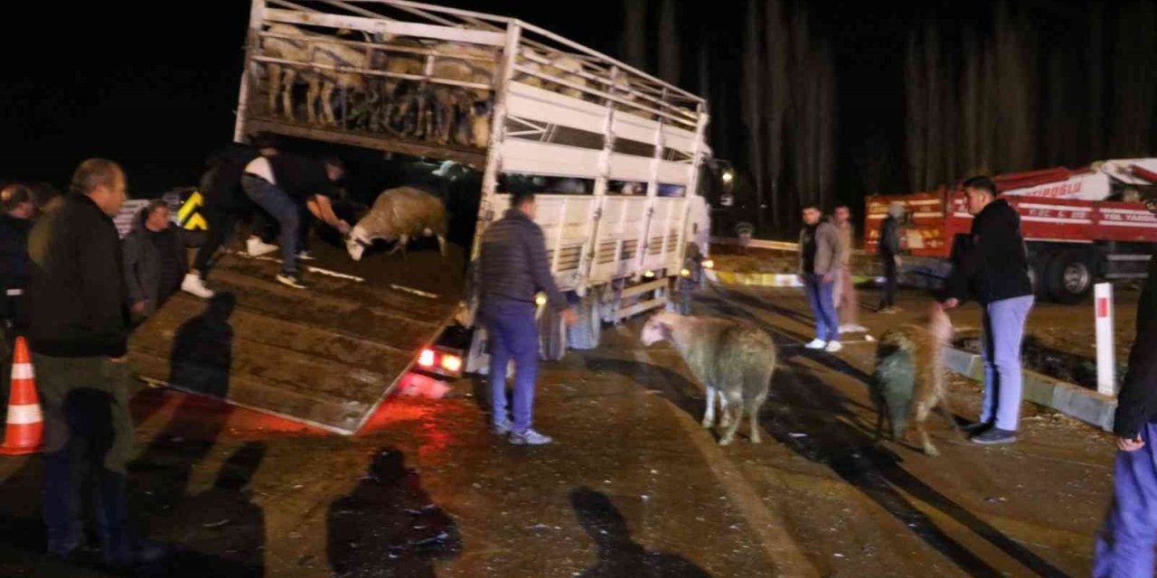 Canlı hayvan yüklü kamyonetle çarpışan otomobilde 2 kişi yaralandı