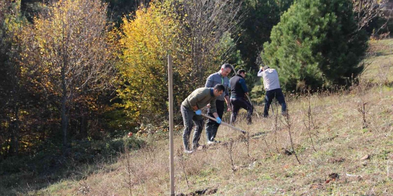 Yaban hayvanları için 175 fidan dikildi