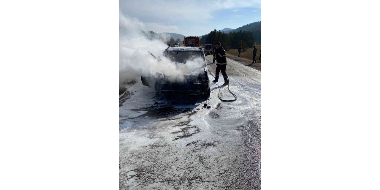 Hafif ticari araç yangında küle döndü