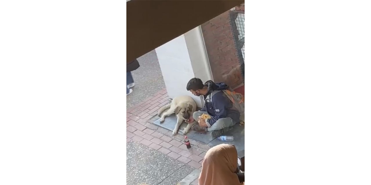 Yemeğini sokak köpeği ile paylaştı, sosyal medyada viral oldu