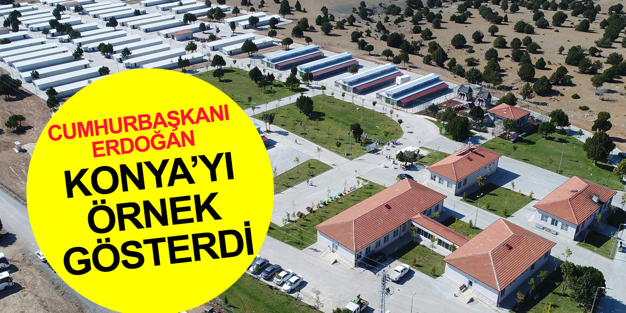 Cumhurbaşkanı Erdoğan'dan başıboş köpek saldırıları ile ilgili soruya cevap! Konya'yı örnek gösterdi
