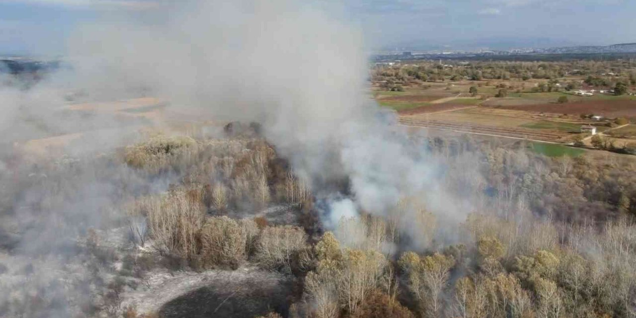 Bursa’da ormanlık alanda korkutan yangın havadan görüntülendi