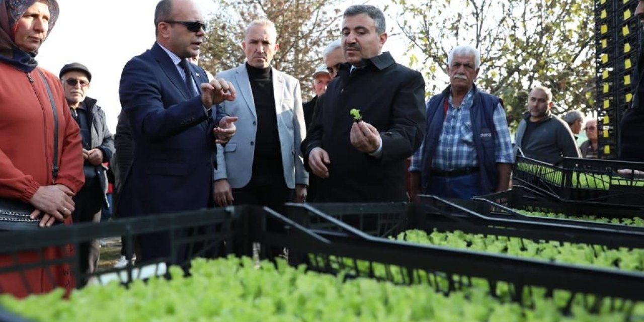 Düzce’de ‘Salata, Marulsuz olmaz’ projesi başladı
