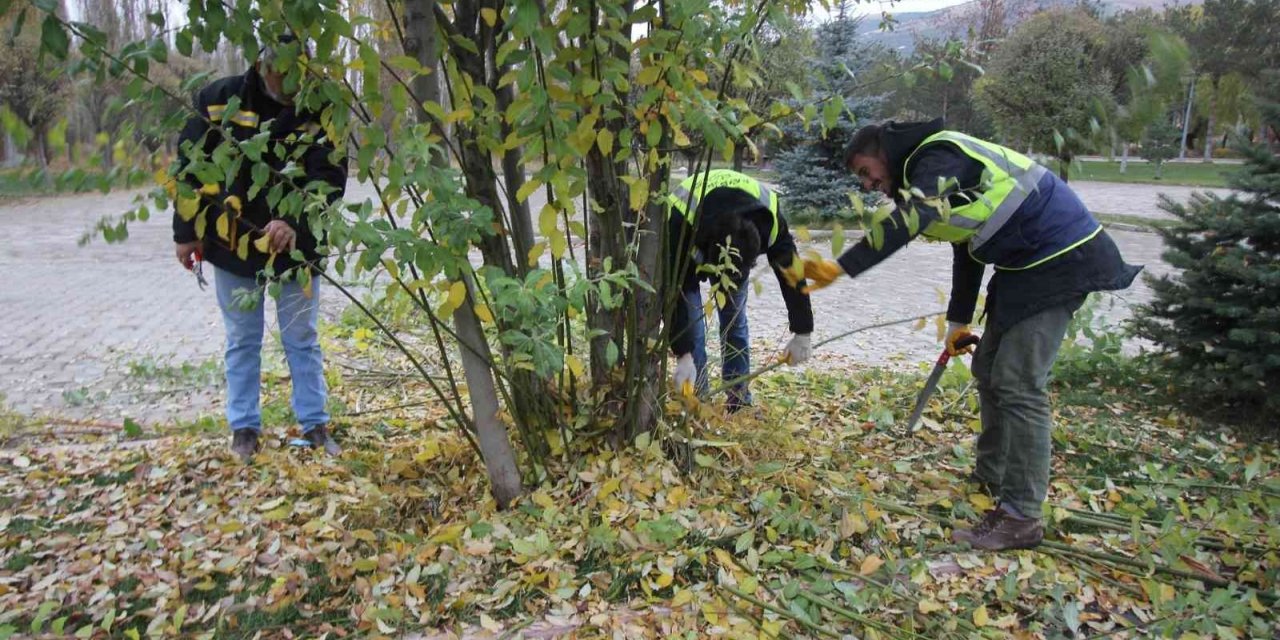 Bayburt Belediyesinden ağaç budama çalışması