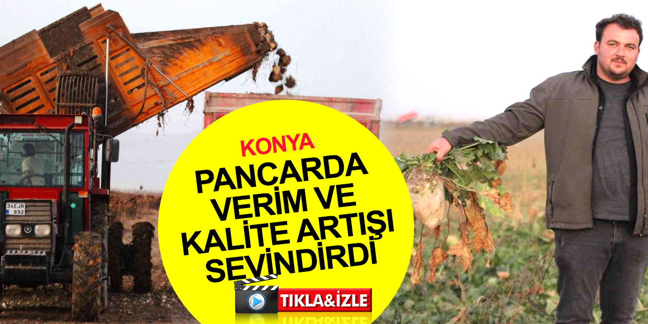 Konya’da 1 milyon dekar alanda şeker pancarı hasadı! Verim ve kalite artışı sevindirdi