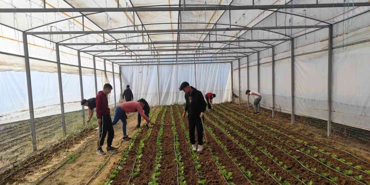 Hem öğrenecekler, hem kazanacaklar