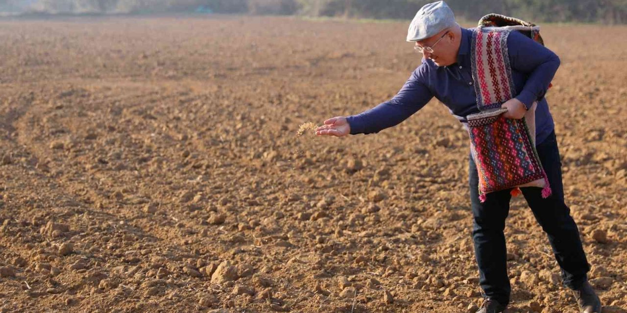 Menteşe’de Karakılçık ata tohumu toprakla buluştu