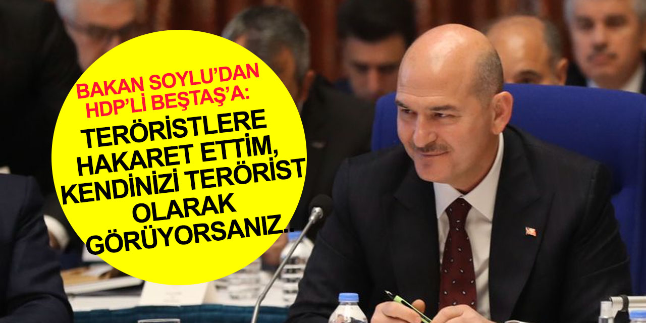 Bakan Soylu’dan HDP’li Beştaş’a: Ben teröristlere hakaret ettim, kendinizi terörist olarak görüyorsanız..
