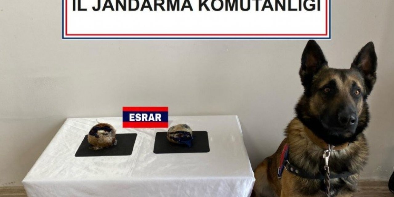 Cips kutusunda 500 gram toz esrar ele geçirildi