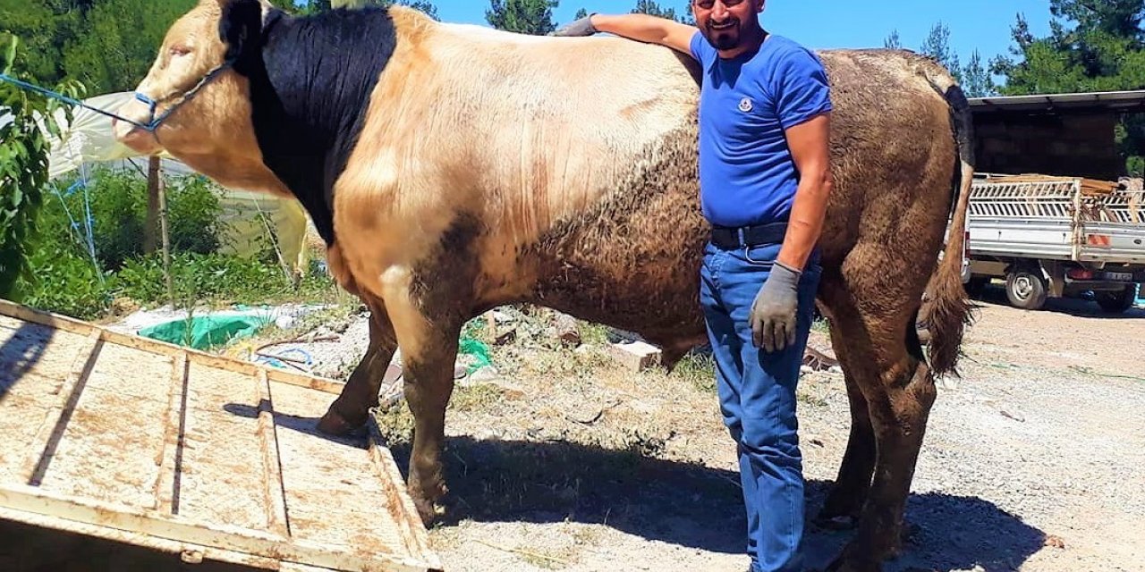 Orta refüje çıkan otomobil takla attı: 1 ölü, 1 yaralı