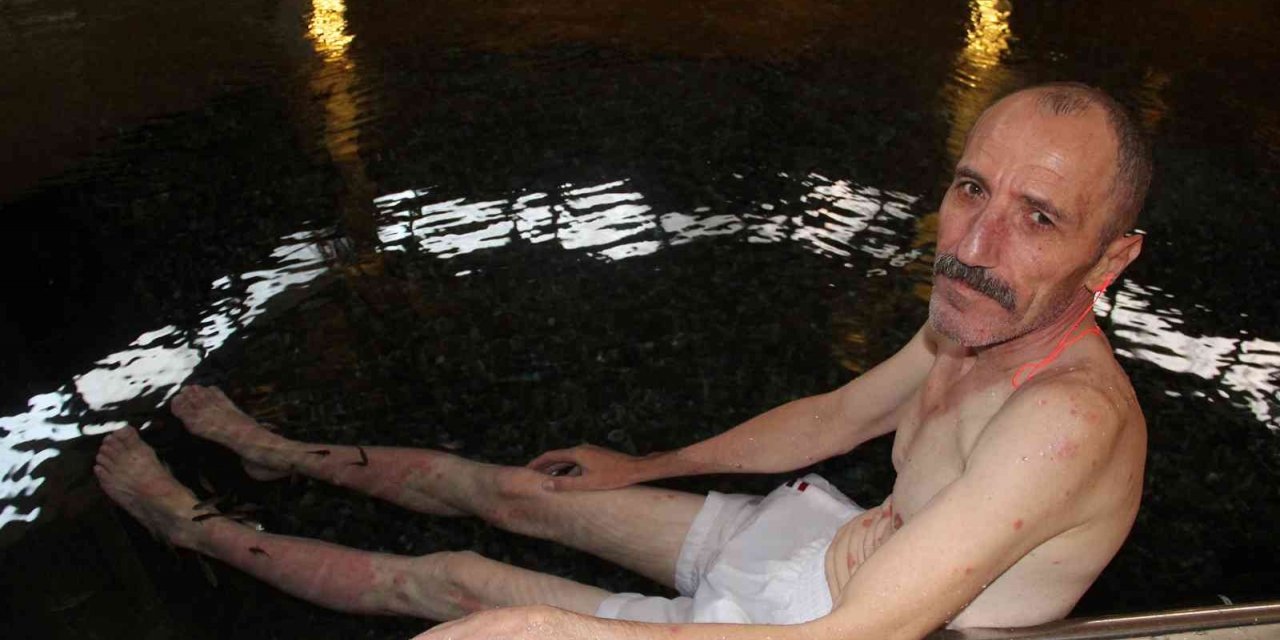 Çalıntı doktor balıklar, şifa değil tehlike saçıyor