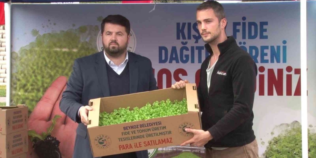 Beykoz’da çiftçilere 400 bin kışlık fide desteği
