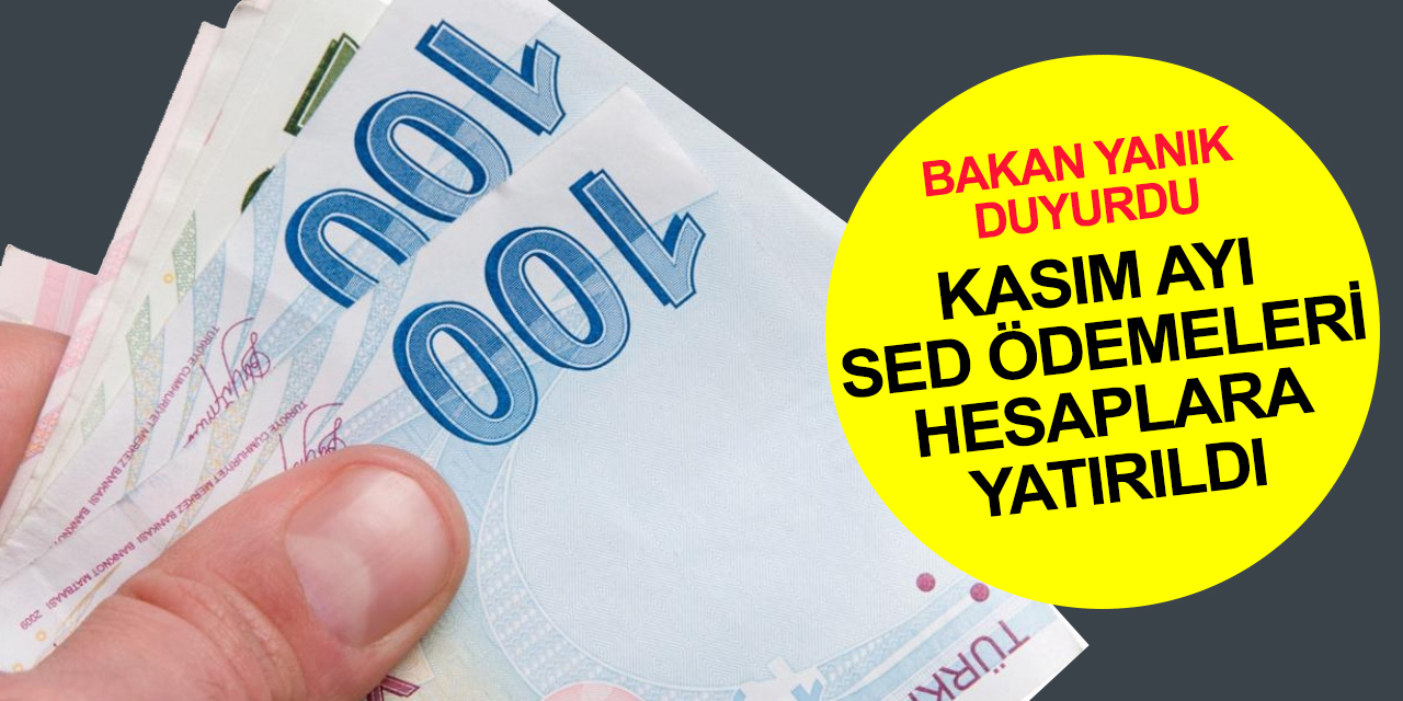 Aile ve Sosyal Hizmetler Bakanlığı Kasım 2022 Sosyal ve Ekonomik Destek ödemeleri 356 milyon 906 bin 974 TL