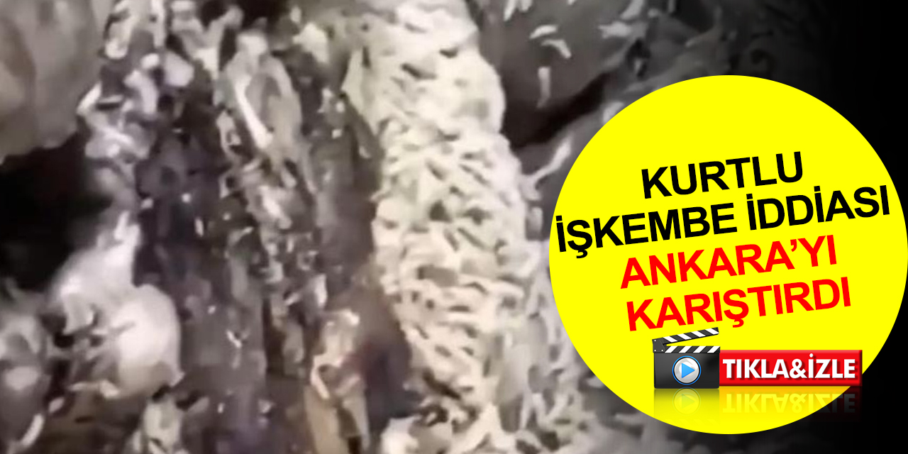 Ankara'da kurtlu işkembe işlemden geçirilip piyasaya sürülüyor iddiası! Firma yetkililerinden açıklama
