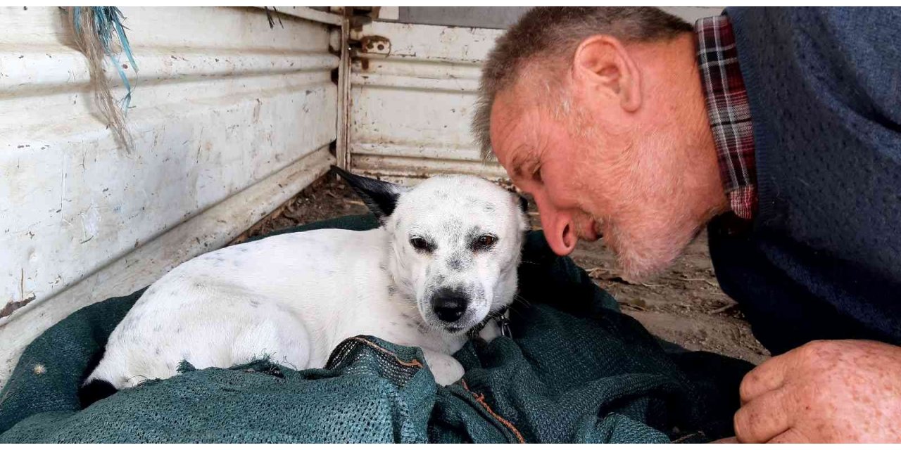 Onun can dostu "Atlas"ı oldu