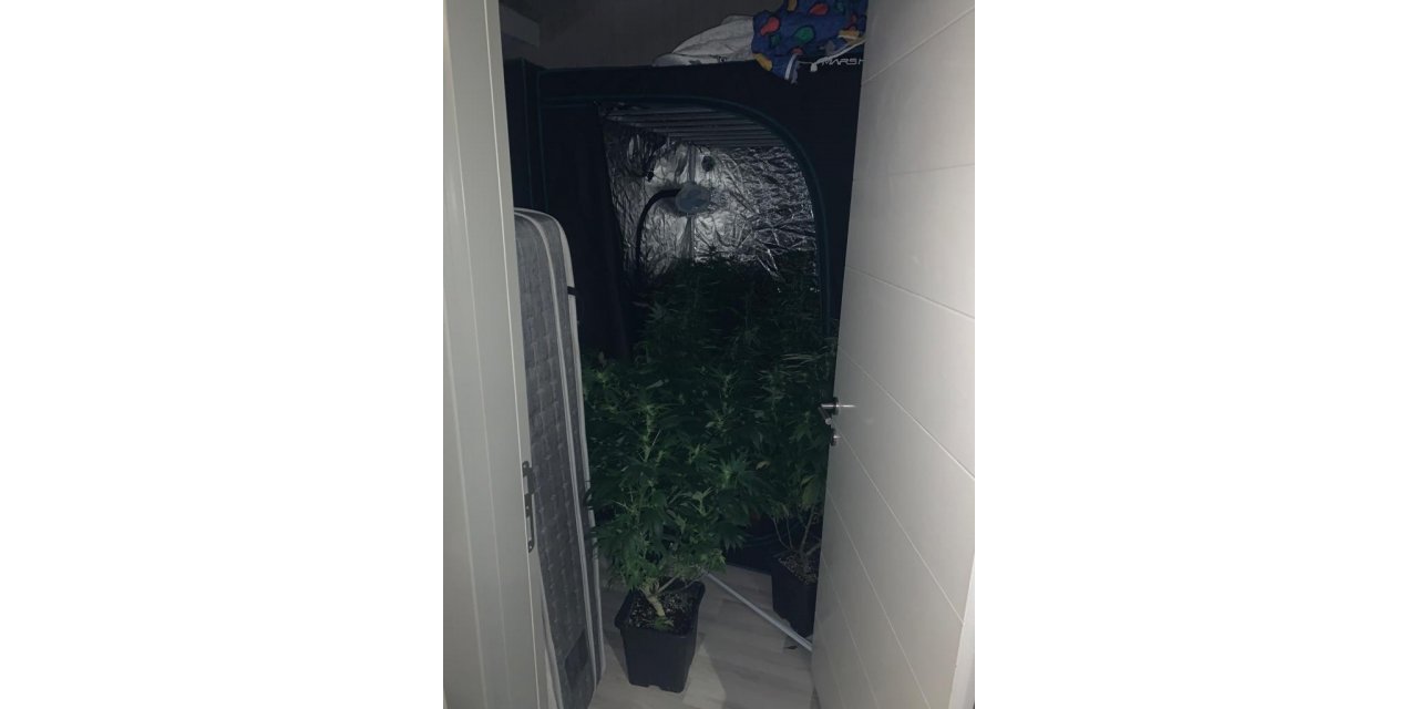 İstanbul’da uyuşturucu operasyonları: Evi uyuşturucu serasına dönüştürdüler