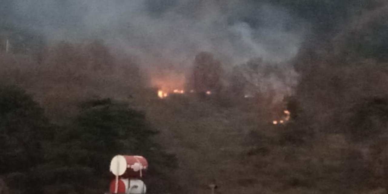 Bolu’da ormanlık alanda çıkan yangın korkuttu
