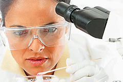 Türkiye Süper beyinlerini geri alıyor