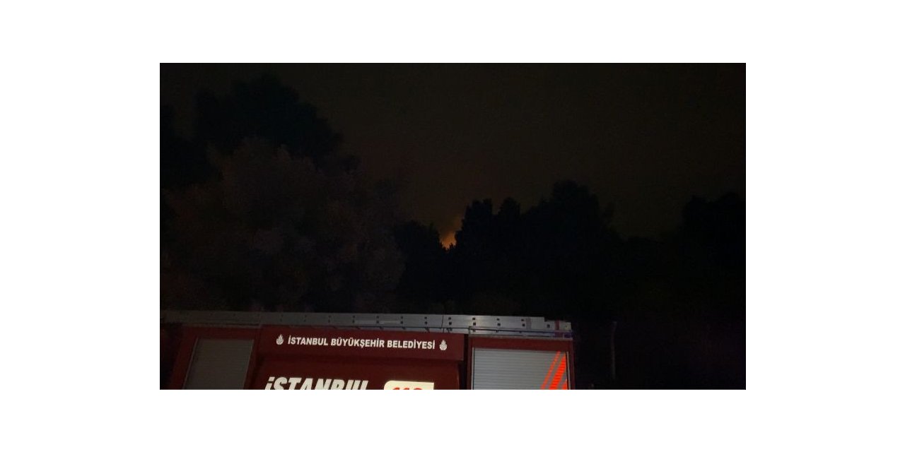 Kartal Aydos Ormanı’nda çıkan yangın söndürüldü