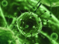 Uzmanlardan Batı Nil uyarısı