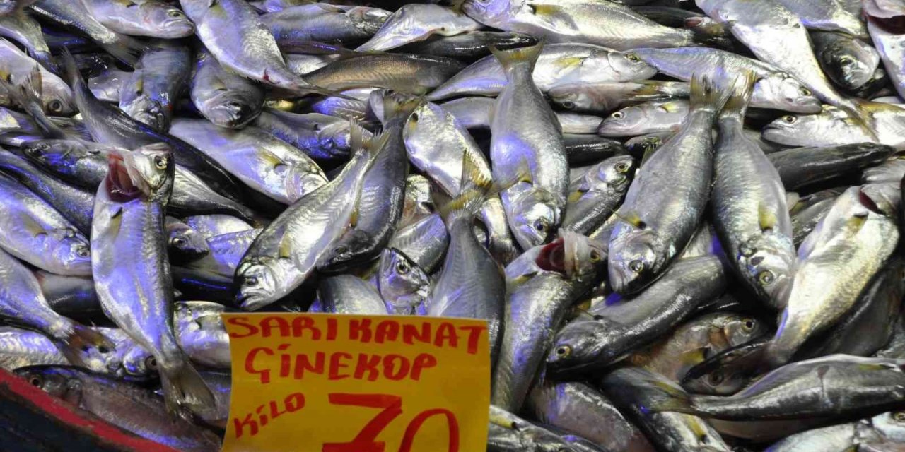 Mudurnu’da pazar tezgahlarında balık bolluğu