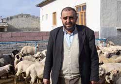 Kurbanlıklara 3 taksit