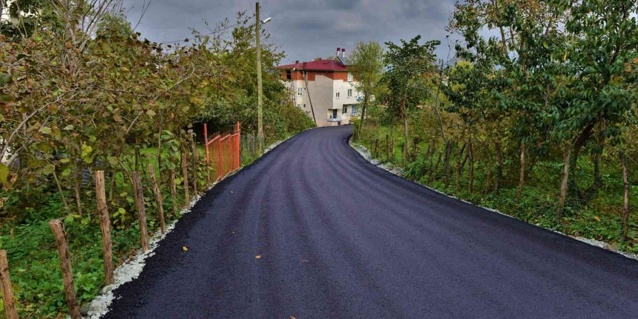 Altınordu’da sıcak asfalt çalışmaları sürüyor