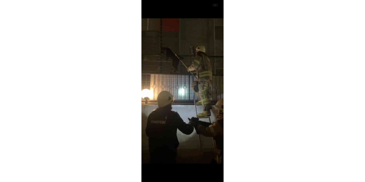 Beylikdüzü’nde tellere sıkışan köpeği itfaiye ekipleri kurtardı