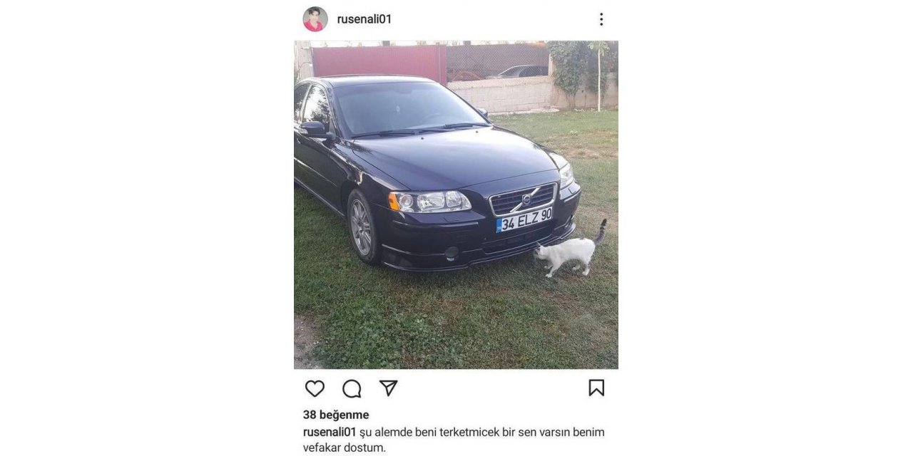 Tır ile çarpışan otomobilin sürücüsü hayatını kaybetti