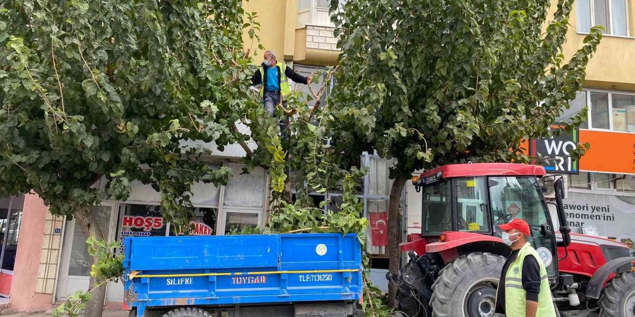 Mut’ta temizlik çalışmaları