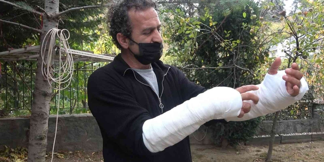 Pitbullu saldırıya uğradı... Kolları parçalandı, ölümden döndü