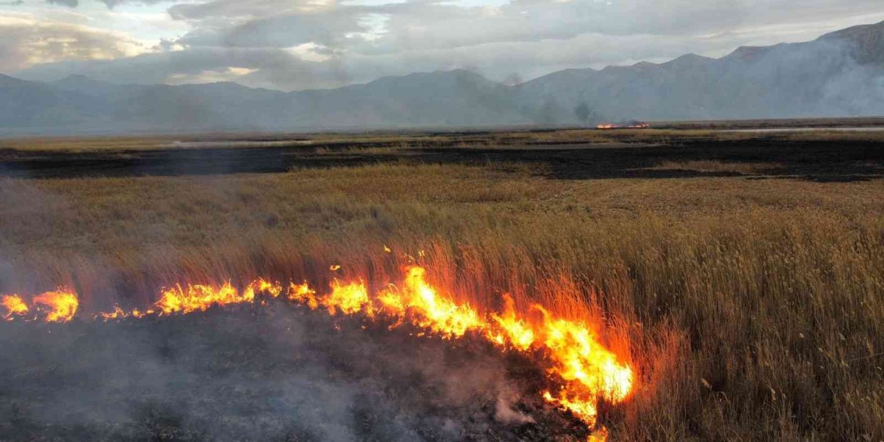 Doğal güzelliği ile gündeme gelen gölde büyük yangın