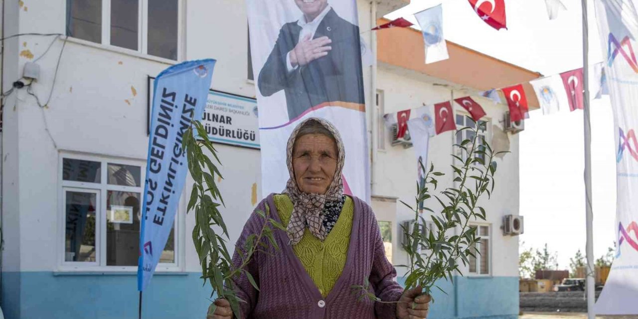 Mersin Büyükşehir Belediyesinden üreticiye fidan desteği sürüyor