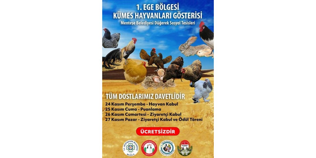 Muğla’da birbirinden çeşit süs hayvanları kıyasıya yarışacak