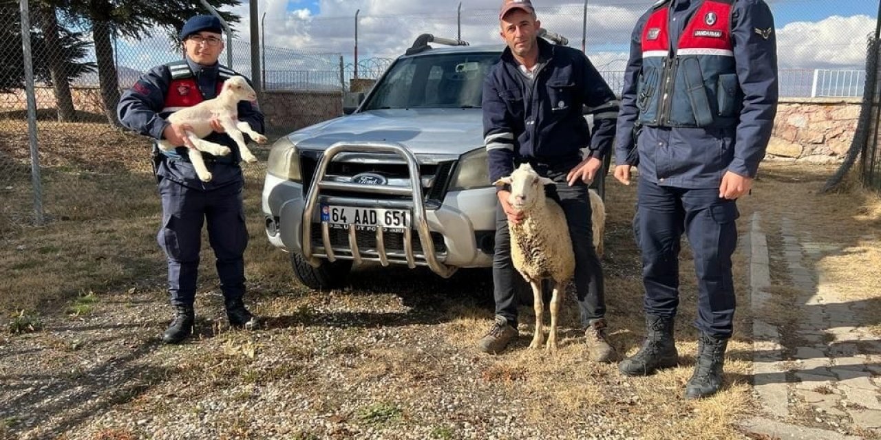 Koyun ve kuzusu anız yangınından son anda kurtarıldı