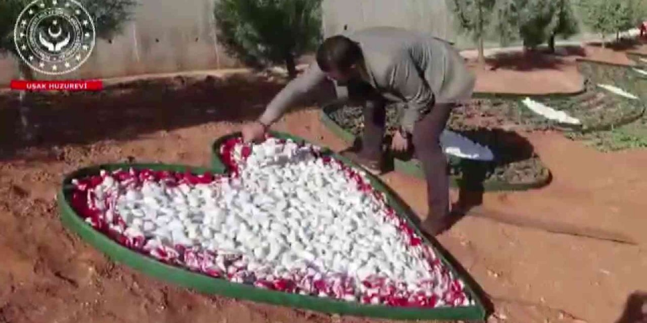 Uşak Huzurevi gün geçtikçe güzelleşiyor