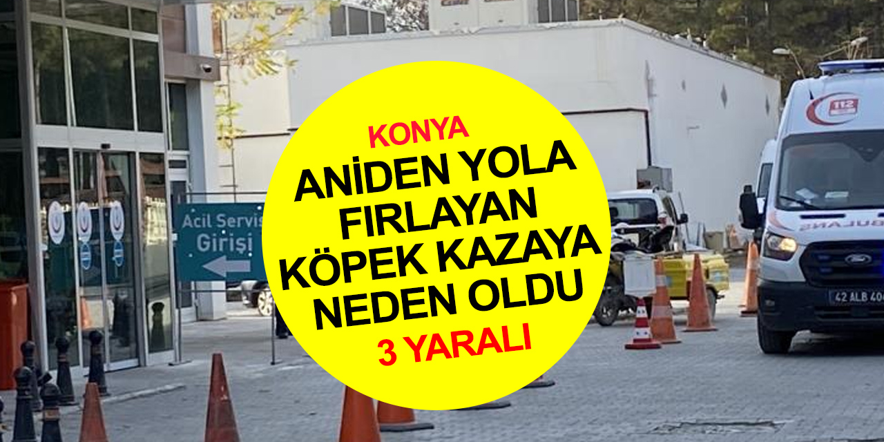 Konya'da yola fırlayan köpeğe çarpan otomobil şarampole devrildi! 1'i ağır 3 yaralı