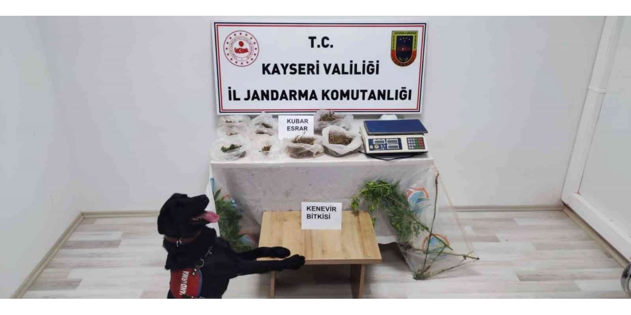 Evinin bahçesinde uyuşturucu üreten şahıs yakalandı