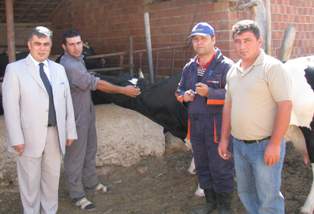 Ereğli'de şap aşı kampanyası başladı