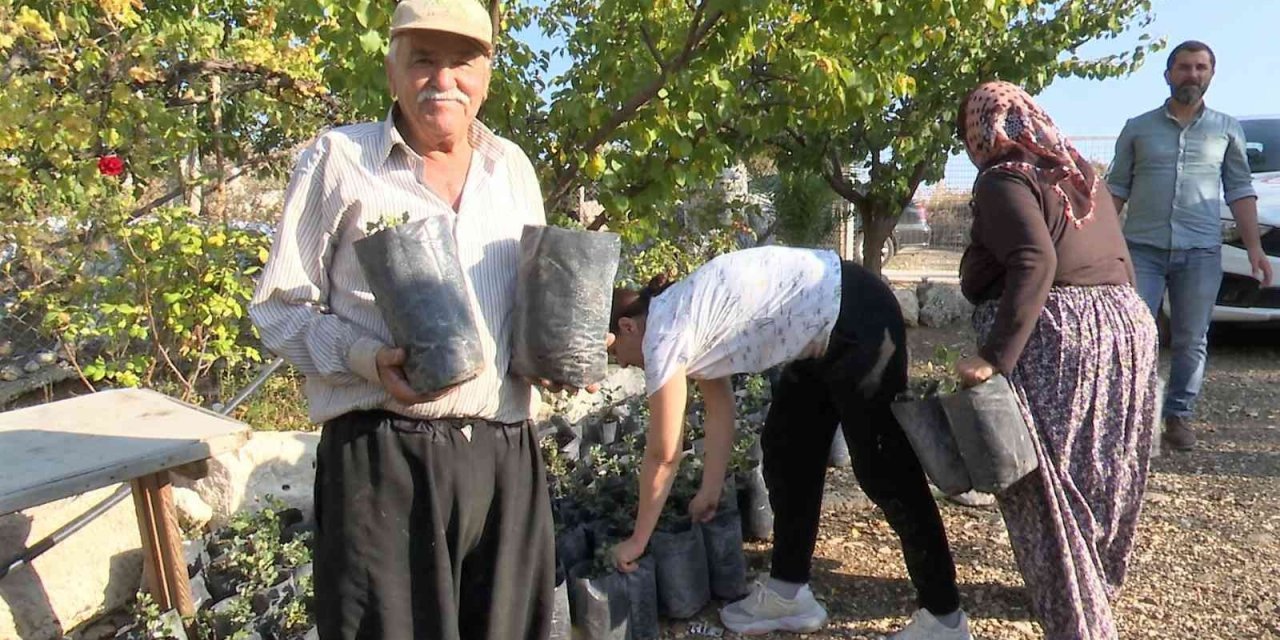 Büyükşehir’den çiftçiye keçiboynuzu desteği