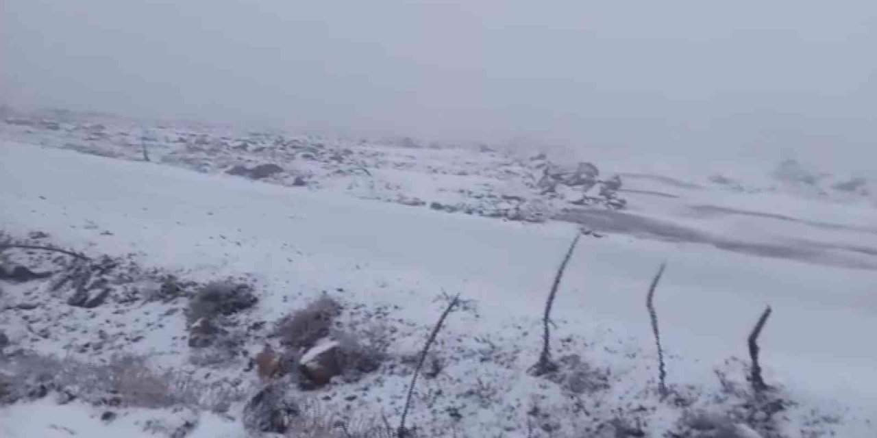 Afyonkarahisar’a mevsimin ilk karı düştü