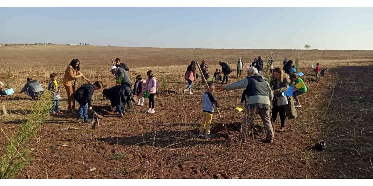 Dicle Üniversitesi 750 ağaç ile yeşillendirildi
