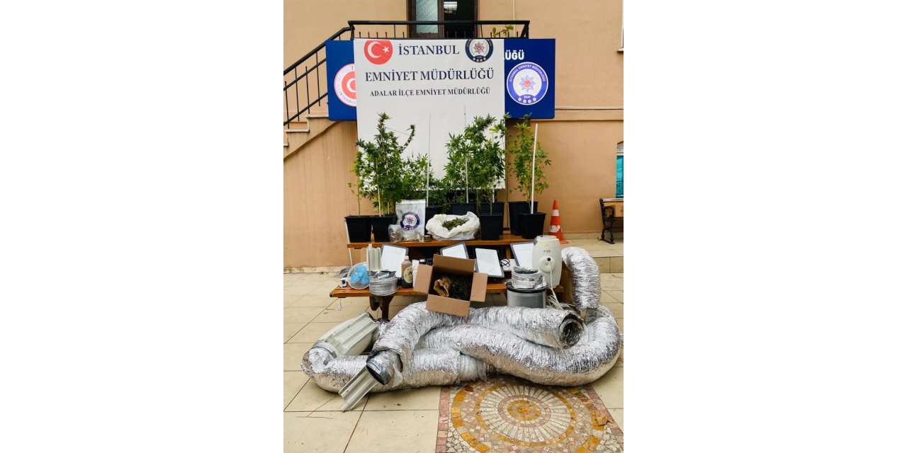 Büyükada’da uyuşturucu imalatı yapılan evde 15 kök kenevir ele geçirildi