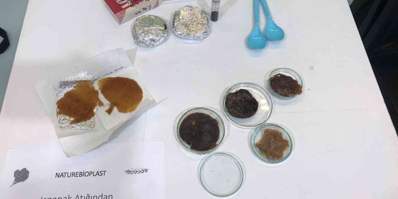 Üniversiteli genç bilim adamı ıspanaktan plastik üretti