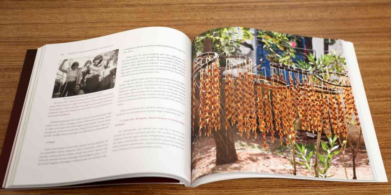 Üzümün 40 hali kitap oldu