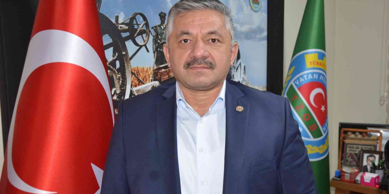 Soydan: “Serbest piyasada fındık fiyatı geç de olsa yükseliyor”