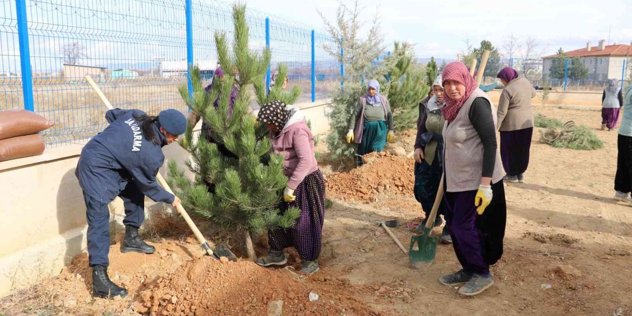Jandarma karakol bahçesine ağaç dikti