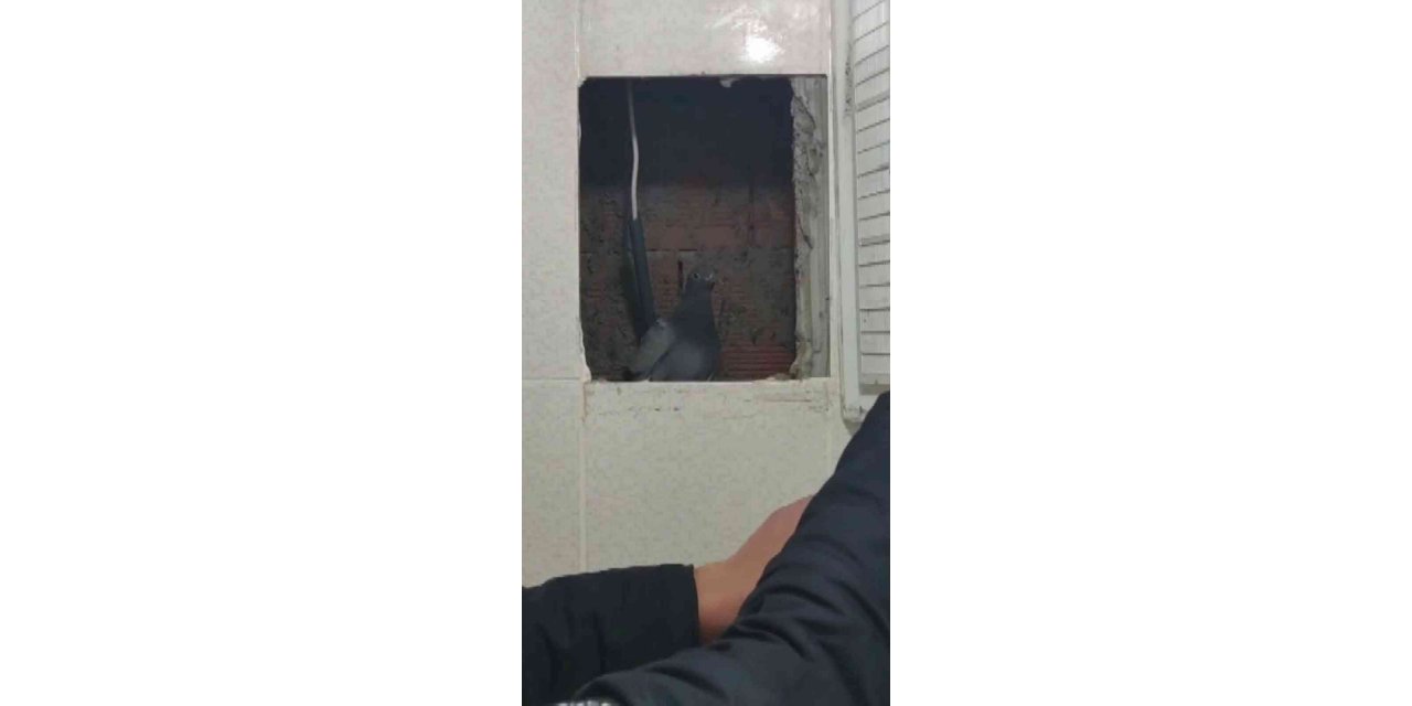 Havalandırma boşluğunda mahsur kaldı, itfaiye sayesinde özgürlüğüne kavuştu